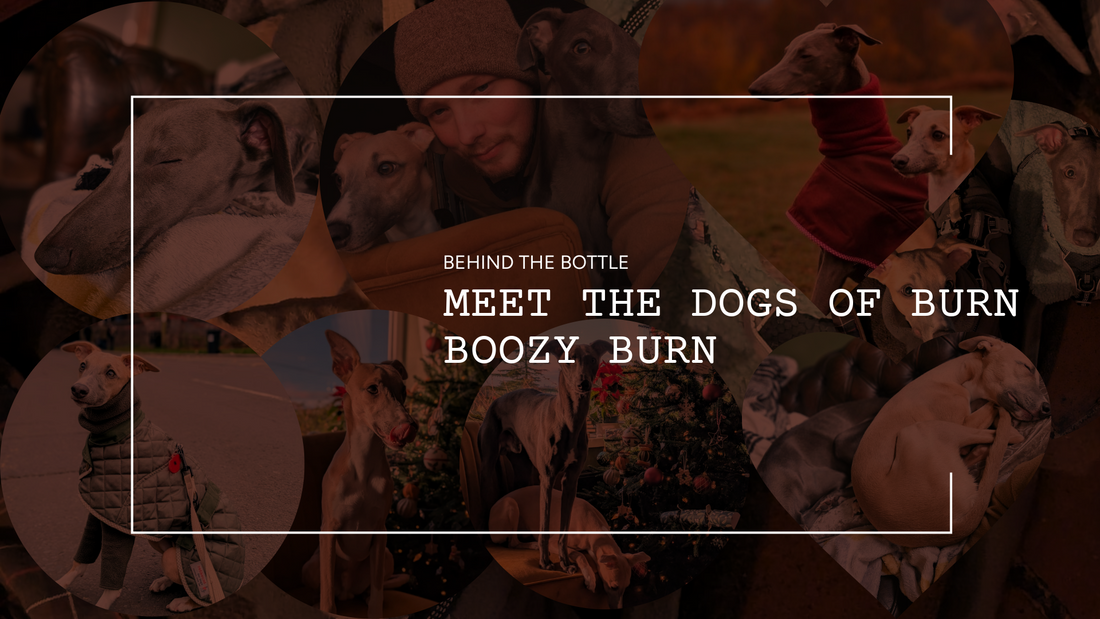 Behind the Bottle: Meet the Dogs of Burn Boozy Burn